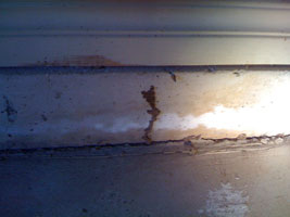 termite tubes